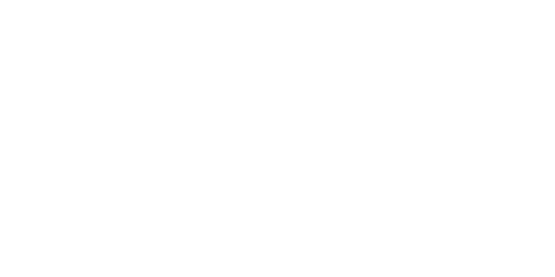 logo msm